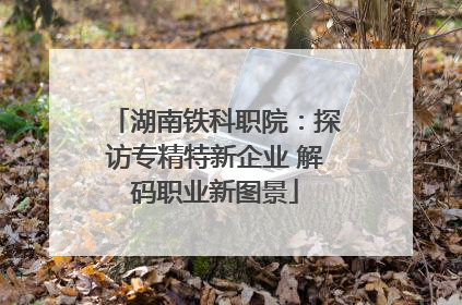 湖南铁科职院：探访专精特新企业 解码职业新图景